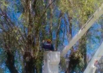 LOS BOMBEROS RESCATARON UN GATITO!