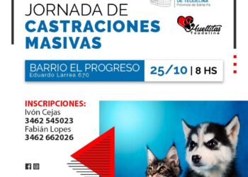 𝗝𝗢𝗥𝗡𝗔𝗗𝗔 𝗗𝗘 𝗘𝗦𝗧𝗘𝗥𝗜𝗟𝗜𝗭𝗔𝗖𝗜𝗢𝗡 𝗣𝗔𝗥𝗔 𝗣𝗘𝗥𝗥𝗢𝗦 𝗬 𝗚𝗔𝗧𝗢𝗦 EN TEODELINA