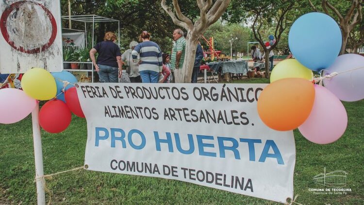 10 AÑOS DE LA PROHUERTA EN TEODELINA