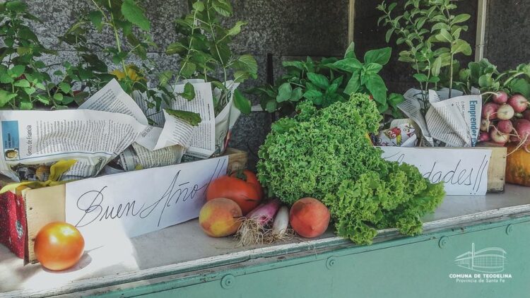 10 AÑOS DE LA PROHUERTA EN TEODELINA