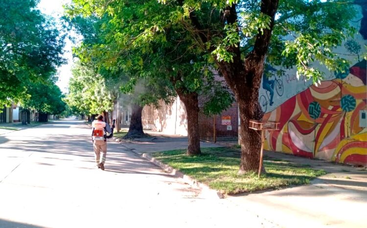VILLA CAÑAS: AVANZA LA OBRA DE PAVIMENTACIÓN DE CALLE 60