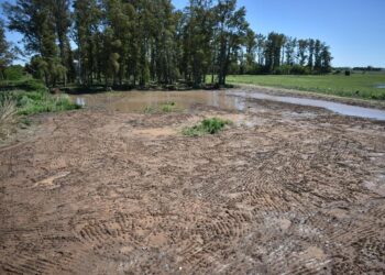 SANTA ISABEL: Terminaron con las obras de acondicionamiento del ex basural.