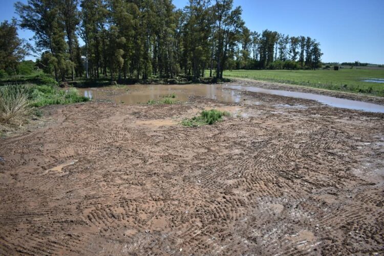 SANTA ISABEL: Terminaron con las obras de acondicionamiento del ex basural.