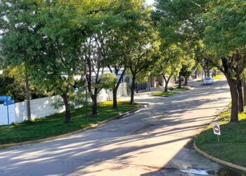 OBRAS Y TAREAS DE MANTENIMIENTO EN VILLA CAÑAS