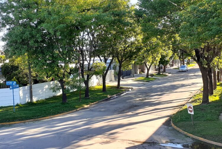 OBRAS Y TAREAS DE MANTENIMIENTO EN VILLA CAÑAS