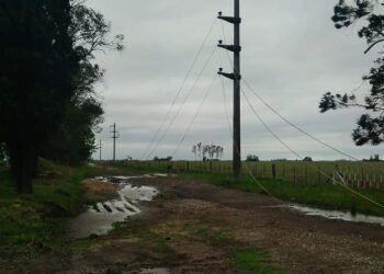 Corte de energía Electrica por roturas en la línea