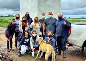 TEODELINA-JORNADA DE CASTRACIÓN MASIVA  BARRIO EL PROGRESO