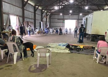 JORNADA DE CASTRACIÓN CANINA GRATUITA EN VILLA CAÑAS