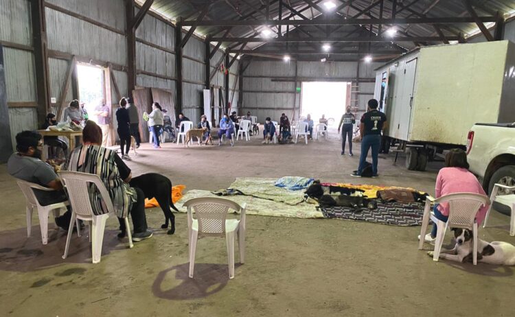 JORNADA DE CASTRACIÓN CANINA GRATUITA EN VILLA CAÑAS