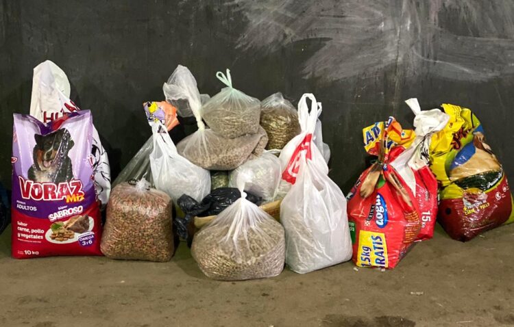 JORNADA DE CASTRACIÓN CANINA GRATUITA EN VILLA CAÑAS