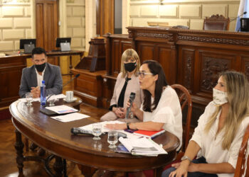 CAMBIO CLIMÁTICO: ANTES DE LA APROBACIÓN DE LA LEY, EL SENADOR ENRICO MANTUVO UN ENCUENTRO CON LA MINISTRA DE MEDIO AMBIENTE ERIKA GONNET