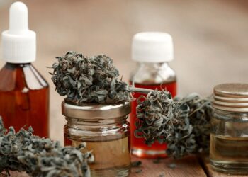 El Gobierno autoriza el autocultivo de cannabis con fines medicinales y fomenta la investigación