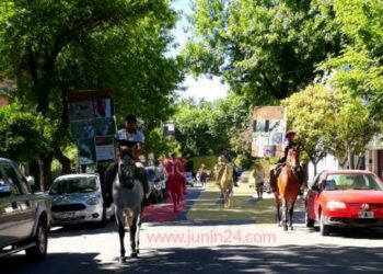 Robo y faenamiento de caballos en Junín: «La Justicia tiene nombre, fotos y dirección de los culpables. Pero no obtuvimos respuesta»