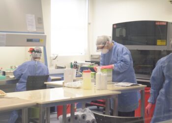 LAS MEDIDAS DE LA PANDEMIA: La ampliación de la Red de Laboratorios garantiza el acceso al diagnóstico a todos los habitantes de la Provincia