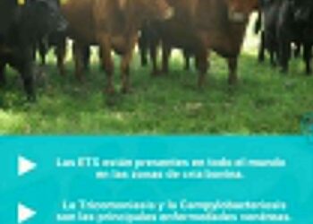 EL DIRECTOR DE PRODUCCIÓN, LEONEL RAE, PARTICIPÓ EN LA ARTICULACIÓN DEL PROGRAMA DE PREVENCIÓN DE ETS BOVINAS DEL MINISTERIO DE DESARROLLO AGRARIO