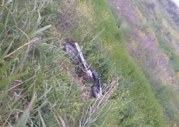 WHEELWRIGHT: ACCIDENTE SOBRE RUTA NACIONAL N°8