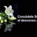 TEODELINA: FALLECIO CARLOS ALBERTO AFFLITTO TEODELINA: FALLECIO CARLOS ALBERTO AFFLITTO
