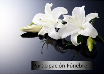 Falleció en Teodelina YOLANDA REPETTI VIUDA DE FALCON
