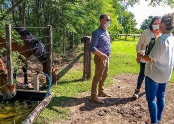 EL SENADOR ENRICO CONTINÚA ACOMPAÑANDO EL TRABAJO DE LA ASOCIACIÓN “CABALLOS DEL VIENTO” DE MARÍA TERESA