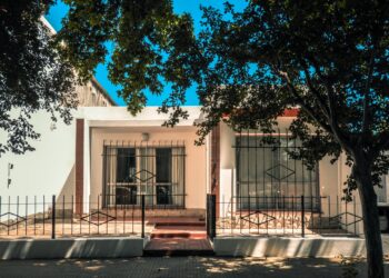 TEODELINA: 𝐌𝐄𝐉𝐎𝐑𝐀𝐒 𝐄𝐃𝐈𝐋𝐈𝐂𝐈𝐀𝐒 𝐄𝐍 𝐄𝐋 𝐉𝐔𝐙𝐆𝐀𝐃𝐎 𝐃𝐄 𝐏𝐀𝐙 