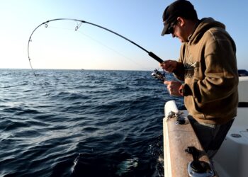 OPERATIVO DE INSCRIPCIÓN EN DIEGO DE ALVEAR: SE ENTREGARON LICENCIAS, PERMISOS Y OBLEAS A 39 PESCADORES