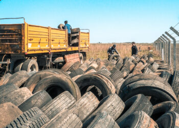 𝗖𝗢𝗡𝗖𝗜𝗘𝗡𝗖𝗜𝗔 𝗔𝗠𝗕𝗜𝗘𝗡𝗧𝗔𝗟: 𝗧𝗘𝗢𝗗𝗘𝗟𝗜𝗡𝗔 𝗔𝗣𝗨𝗘𝗦𝗧𝗔 𝗔𝗟 𝗥𝗘𝗖𝗜𝗖𝗟𝗔𝗝𝗘