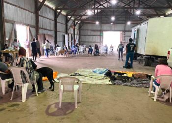 VILLA CAÑAS: JORNADA DE CASTRACIÓN CANINA GRATUITA