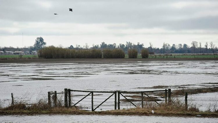 EL SENADOR ENRICO PIDE AL GOBIERNO PROVINCIAL QUE SE CUMPLA LA LEY QUE EXIME A PRODUCTORES INUNDADOS POR DESBORDE DE LAGUNAS PICASA Y MELINCUÉ DEL PAGO DE IMPUESTOS INMOBILIARIOS
