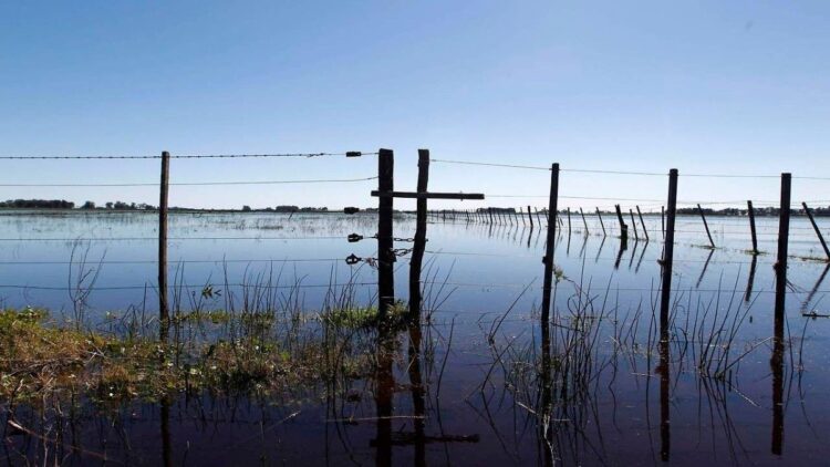 EL SENADOR ENRICO PIDE AL GOBIERNO PROVINCIAL QUE SE CUMPLA LA LEY QUE EXIME A PRODUCTORES INUNDADOS POR DESBORDE DE LAGUNAS PICASA Y MELINCUÉ DEL PAGO DE IMPUESTOS INMOBILIARIOS