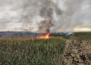 TEODELINA ; BOMBEROS INFORMA SALIDA POR INCENDIO DE CAÑADA