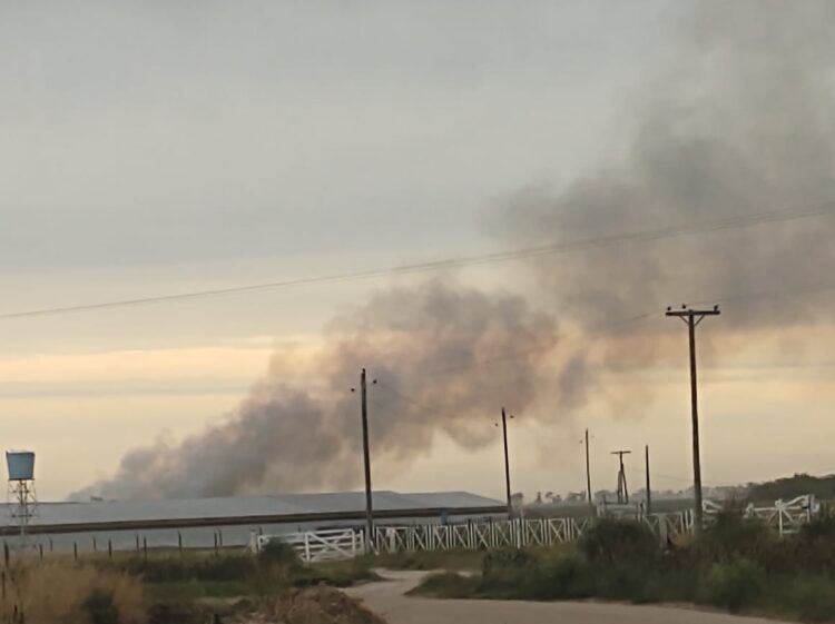 TEODELINA ; BOMBEROS INFORMA SALIDA POR INCENDIO DE CAÑADA