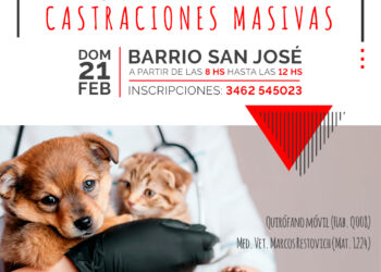 TEODELINA: 𝐅𝐄𝐁𝐑𝐄𝐑𝐎 | 𝙉𝙐𝙀𝙑𝘼 𝙅𝙊𝙍𝙉𝘼𝘿𝘼 𝘿𝙀 𝘾𝘼𝙎𝙏𝙍𝘼𝘾𝙄𝙊𝙉𝙀𝙎 𝙈𝘼𝙎𝙄𝙑𝘼𝙎