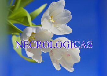 TEODELINA: Fallecio a la edad de 67 años el señor.  OSCAR GUERINI ( coco).