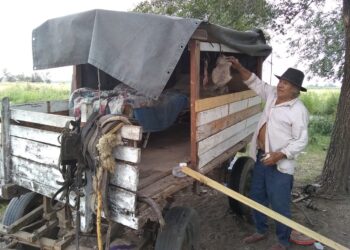 VENADO TUERTO: Solicitud de Paradero