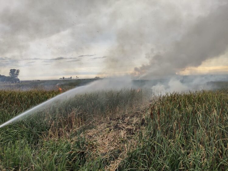 TEODELINA ; BOMBEROS INFORMA SALIDA POR INCENDIO DE CAÑADA