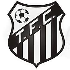 NUEVA COMISION DEL TEODELINA FBC.