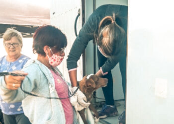 TEODELINA: 𝗦𝗘 𝗖𝗢𝗡𝗖𝗥𝗘𝗧𝗢 𝗖𝗢𝗡 𝗘𝗫𝗜𝗧𝗢 𝗢𝗧𝗥𝗔 𝗝𝗢𝗥𝗡𝗔𝗗𝗔 𝗗𝗘 𝗖𝗔𝗦𝗧𝗥𝗔𝗖𝗜𝗢𝗡𝗘𝗦 𝗠𝗔𝗦𝗜𝗩𝗔𝗦