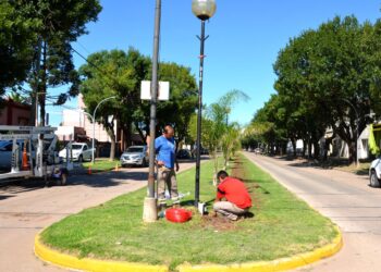 SERVICIOS PÚBLICOS: NUEVO CABLEADO Y TAREAS EN LAS PLAZAS