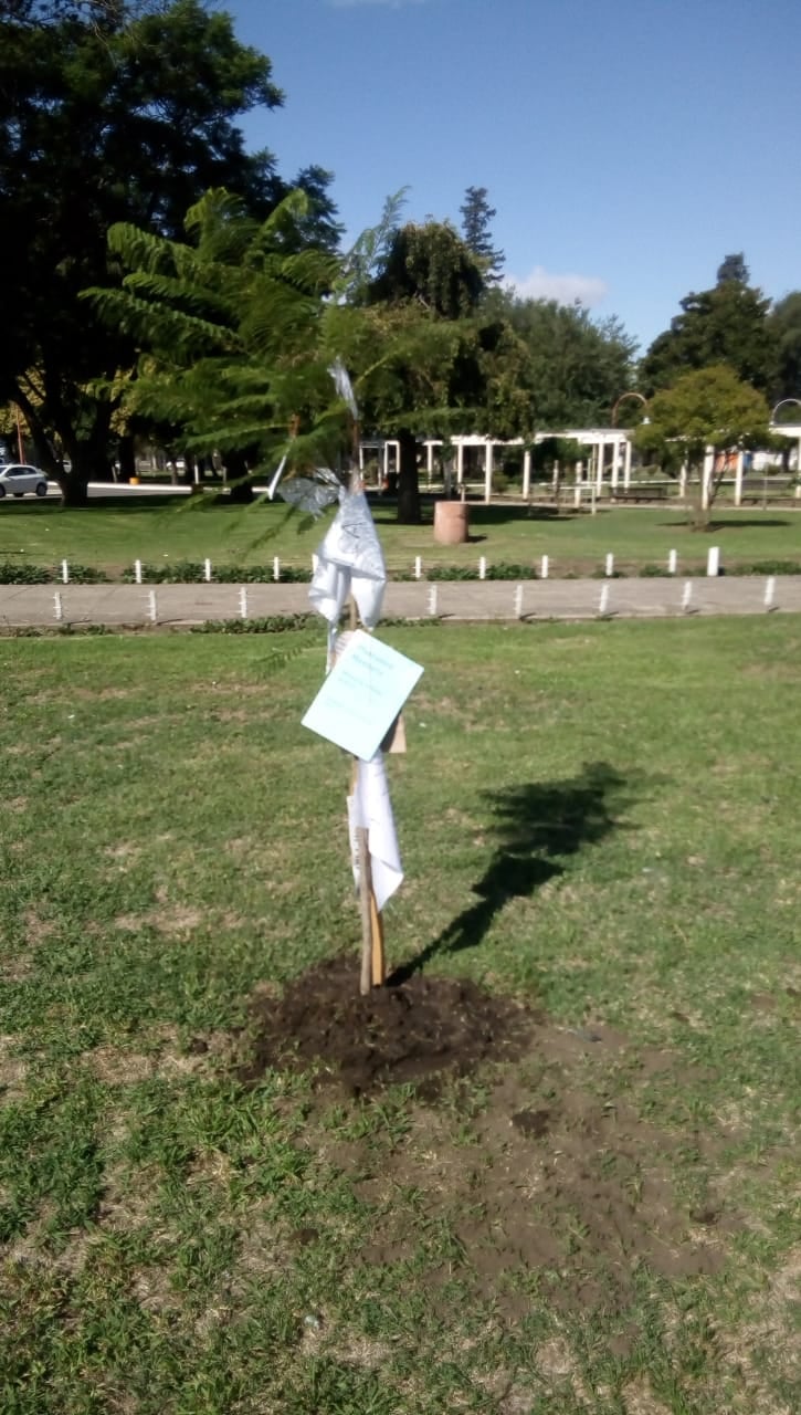 TEODELINA: UNIDAD CIUDADANA “PLANTA MEMORIA”