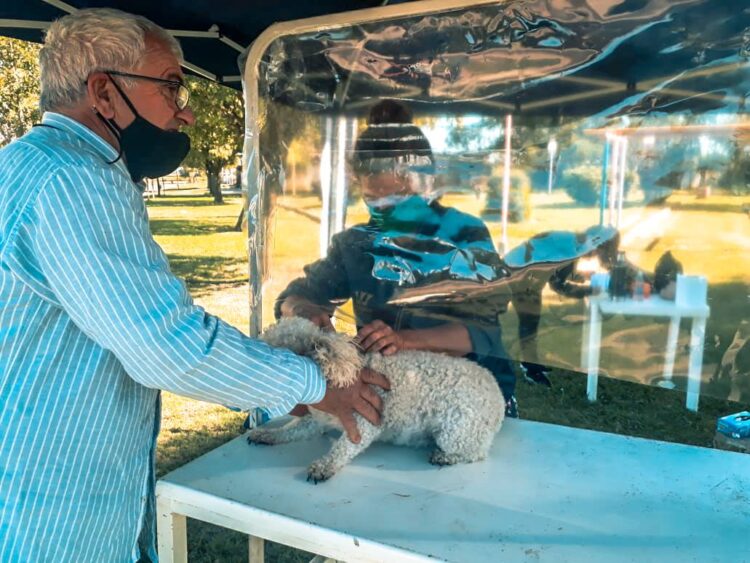 TEODELINA 𝗦𝗔𝗟𝗨𝗗 𝗔𝗡𝗜𝗠𝗔𝗟 | 𝗘𝗫𝗜𝗧𝗢𝗦𝗔 𝗝𝗢𝗥𝗡𝗔𝗗𝗔 𝗗𝗘 𝗩𝗔𝗖𝗨𝗡𝗔𝗖𝗜𝗢𝗡 𝗔𝗡𝗧𝗜𝗥𝗥𝗔𝗕𝗜𝗖𝗔 