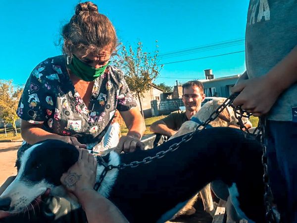 TEODELINA 𝗦𝗔𝗟𝗨𝗗 𝗔𝗡𝗜𝗠𝗔𝗟 | 𝗘𝗫𝗜𝗧𝗢𝗦𝗔 𝗝𝗢𝗥𝗡𝗔𝗗𝗔 𝗗𝗘 𝗩𝗔𝗖𝗨𝗡𝗔𝗖𝗜𝗢𝗡 𝗔𝗡𝗧𝗜𝗥𝗥𝗔𝗕𝗜𝗖𝗔 