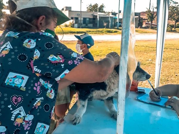 TEODELINA 𝗦𝗔𝗟𝗨𝗗 𝗔𝗡𝗜𝗠𝗔𝗟 | 𝗘𝗫𝗜𝗧𝗢𝗦𝗔 𝗝𝗢𝗥𝗡𝗔𝗗𝗔 𝗗𝗘 𝗩𝗔𝗖𝗨𝗡𝗔𝗖𝗜𝗢𝗡 𝗔𝗡𝗧𝗜𝗥𝗥𝗔𝗕𝗜𝗖𝗔 