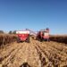 SANCTI SPIRITU: LAMENTABLE ACCIDENTE EN ZONA RURAL, UN HOMBRE FUE APLASTADO POR UN TRACTOR SANCTI SPIRITU: LAMENTABLE ACCIDENTE EN ZONA RURAL, UN HOMBRE FUE APLASTADO POR UN TRACTOR