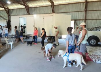 VILLA CAÑAS  : JORNADA DE CASTRACIÓN CANINA GRATUITA