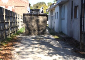 VILLA CAÑAS Servicios Públicos: trabajos en la ciudad y colaboración con instituciones