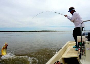LA PESCA DEPORTIVA ESTÁ PERMITIDA EN LA PROVINCIA DE SANTA FE
