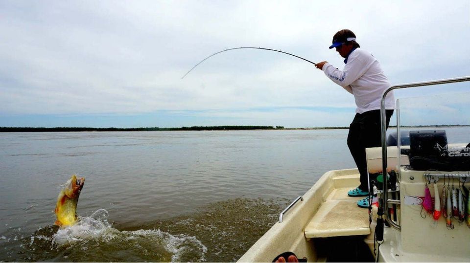 La Pesca Deportiva EstÁ Permitida En La Provincia De Santa Fe Lanuevavozregional 7962