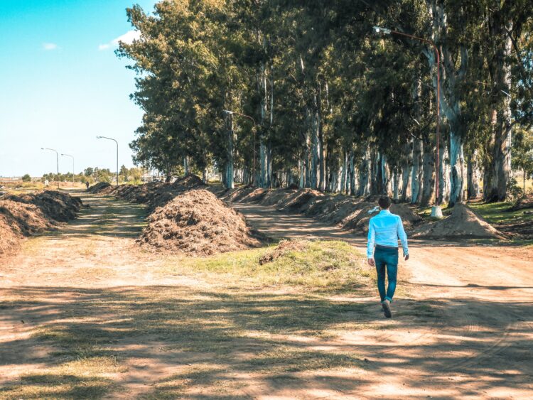 Teodelina: un pueblo en obra que sueña en grande