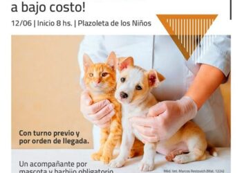 Teodelina 𝗝𝗨𝗡𝗜𝗢  | 𝗖𝗔𝗦𝗧𝗥𝗔𝗖𝗜𝗢𝗡𝗘𝗦 𝗠𝗔𝗦𝗜𝗩𝗔𝗦 𝗔 𝗕𝗔𝗝𝗢 𝗖𝗢𝗦𝗧𝗢 