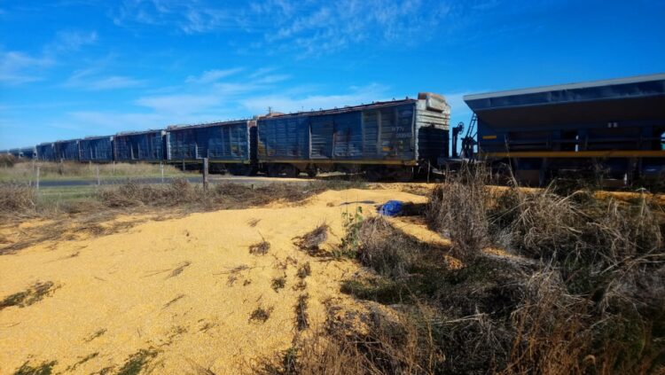 ACCIDENTE EN RUTA PROVINCIAL N 65 VIAS Y CRUCE CACEROS